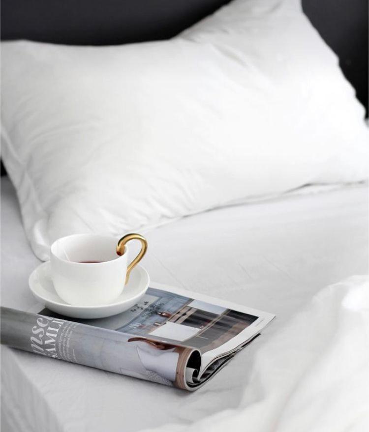 The Queen Airport Hotel-Round Trip Airport Service Arnavutkoy Exteriér fotografie